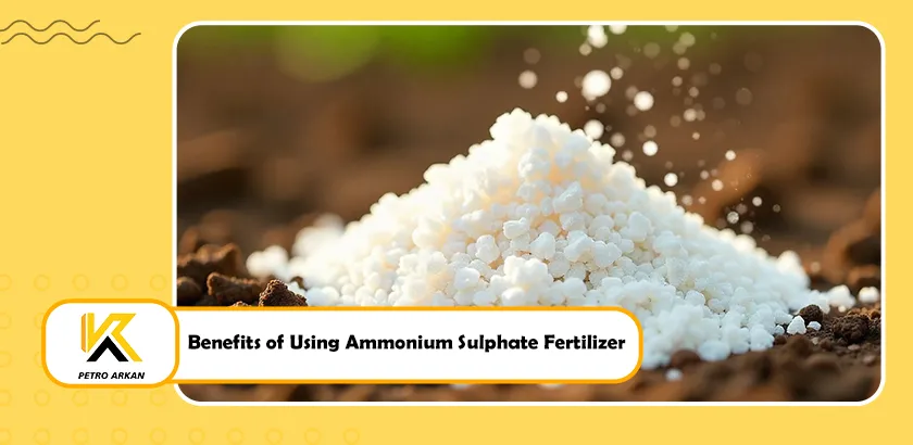 Benefits of Using Ammonium Sulphate Fertilizer