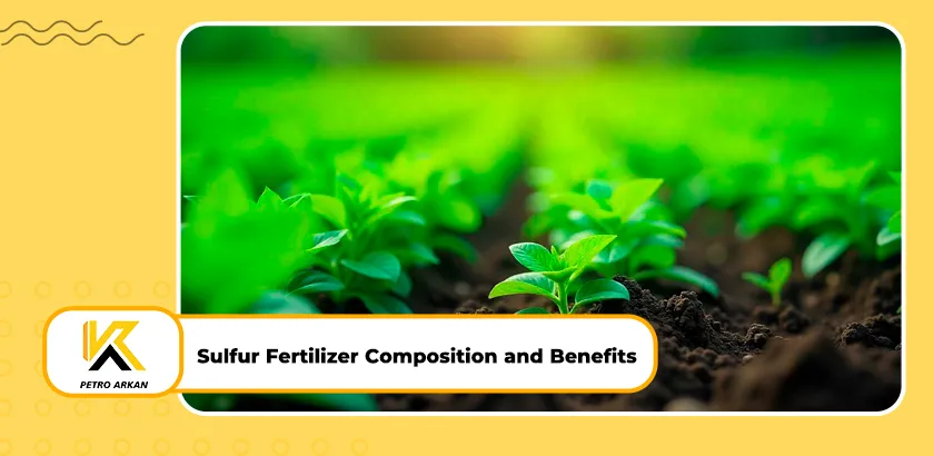 Sulfur Fertilizer Composition and Benefits