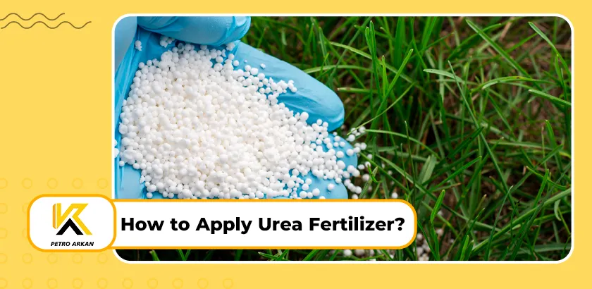 How to Apply Urea Fertilizer?