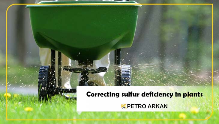 Correcting sulfur deficiency in plants