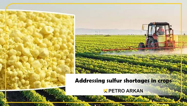 Addressing sulfur shortages in crops