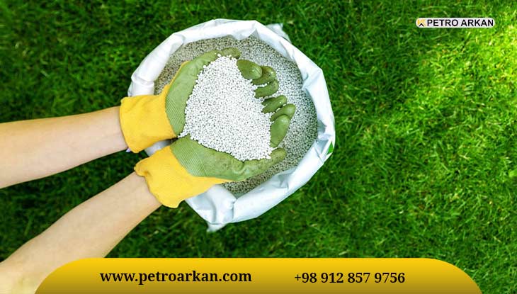 Comparing urea and other nitrogen sources