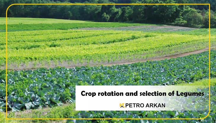 Crop rotation and selection of Legumes