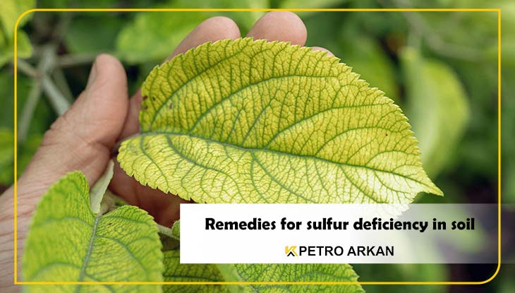 Remedies for sulfur deficiency in soil