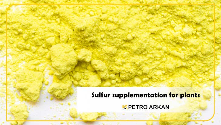 Sulfur supplementation for plants