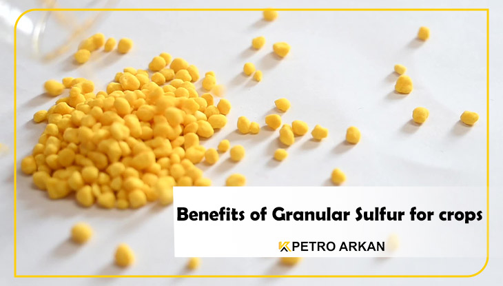 Benefits of Granular Sulfur for crops