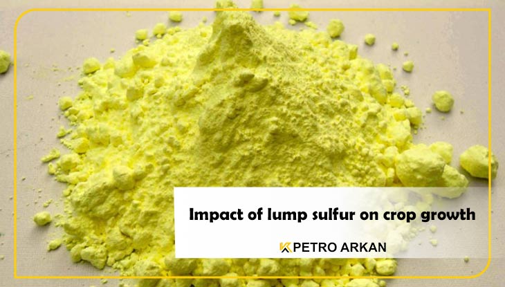 Impact of lump sulfur on crop growth