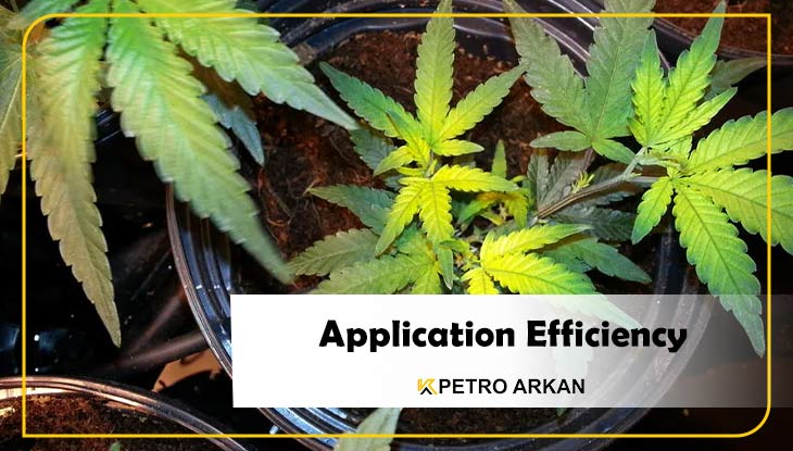 Application Efficiency