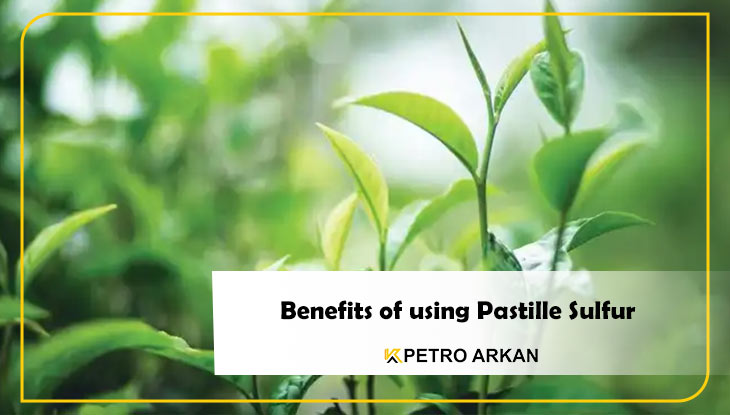 Benefits of using Pastille Sulfur