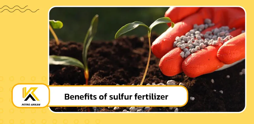Benefits of sulfur fertilizer