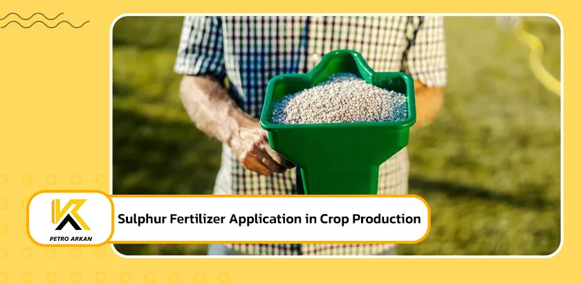 Sulphur Fertilizer Application in Crop Production