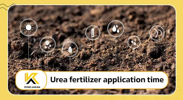 Urea fertilizer application time