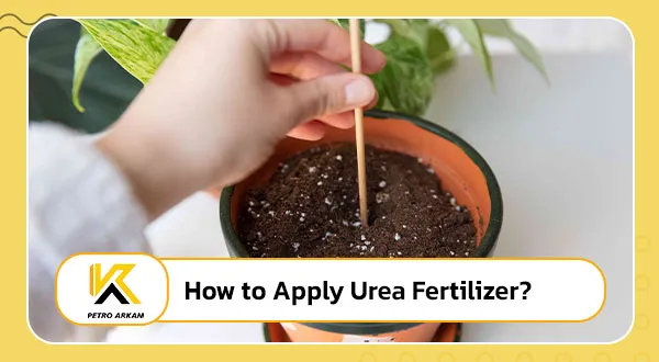 How to apply urea fertilizer