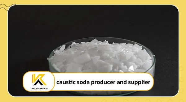 caustic soda producer and supplier